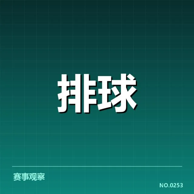 主要参赛队伍的表现与核心数据